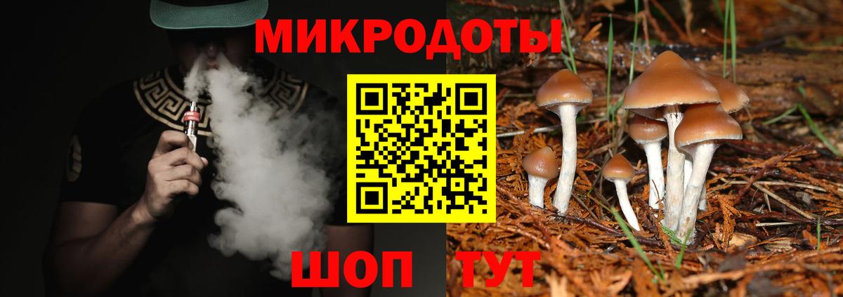 Псилоцибиновые грибы мицелий  Вход с VPN  Коломна  Галлюциногенные грибы Psilocybine cubensis 